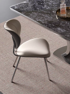 Modern Simple Designer Stainless Steel Dining Chair Backrest Home Use Small Apartment Italian High-End Feeling Chair