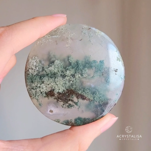 Natural High Quality Moss Agate Crystal Plates