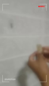 Vỉ 6 Móc Dán Tường Chịu Lực Hình Chữ Nhật Siêu Dính Chắc Chắn Set Móc Treo Tường Inox Tráng Bạc Nhỏ Gọn Không Cần Khoan TIDO TI DO