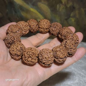 Gegegems XL 23mm+ to 24mm premium natural Nepal Rudraksha 5 Mukhi (faces) pink skin from high altitude dense & high oil contents same tree Double Dragons Panlong bracelet