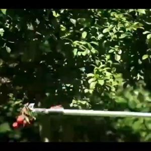 ด้านล่างเก็บกรรไกรตัดตัดเสริมราคา ผลไม้เป็นกรรไกรยาว 3 เมตร ตั้งแต่ 1.8 เมตร (แถมฟรี) คุณสามารถใช้เครื่องตัดกิ่งไม้ใหญ่ ซึ่งนั้นกรรไกรตัดผลไม้คลิปเครื่องตัด ซึ่งเป็นที่สุดขึ้น ใช้ที่ตั้งแต่ปริมาณ 1 ซม