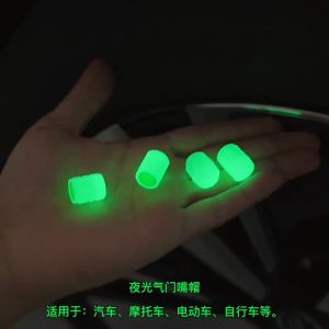 Luminous Tire Valve Cap Car Wheel Tire Valves Car Motorcycle Bicycle Wheel Styling Tyre Hub Luminous Cap Decor VA166