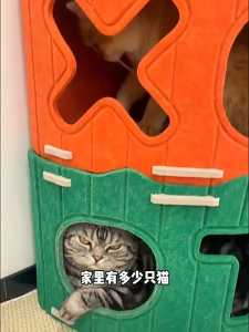 Stackable Cat Hiding House Folding Space Saving Felt Cat Bed Detachable Breathable Cat Scratching Board Nest Non-Dandruff Cat Villa Tunnel Easy to Assemble