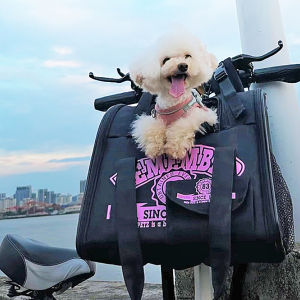 Edenpetz Ba-lô thú cưng tàu sân bay phía trước lưới đầu túi tải tối đa 5kg rèm cửa Comfort xách tay vận chuyển Ba lô cho Chó mèo