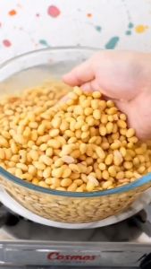 MESIN SOYA BEAN MESIN SUSU KEDELAI MESIN PEMBUAT SUSU KEDELAI OTOMATIS SOYA OS100 OSSEL