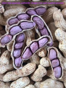 Authentic 2025 Longyan Liancheng Four Red Skin Peanuts Wet Roasted Five Spice Crispy Snacks from Fujian Province Chinese Nuts