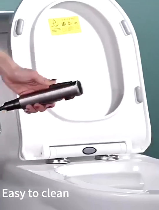 High Pressure Handheld Bidet Spray Toilet Set With Dual Outlet Faucets Toilet Flusher Bathroom