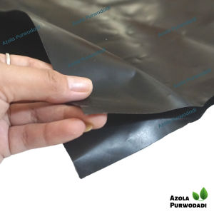 Plastik HDPE Geomembran 200 Micron 4 x 25 meter untuk kolam / tambak