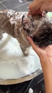 【BUY 1 TAKE 1】Akiika Herbal Pet Soap 100% Natural Handmade Sterilization Anti Parasitic Deodorization