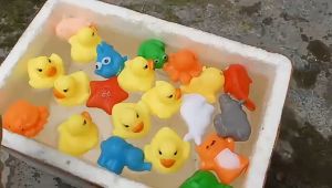 Combo 20 Chú Vịt Vàng Đồ Chơi Nhà Tắm Cho Bé Vịt Phát Ra Tiếng Kêu