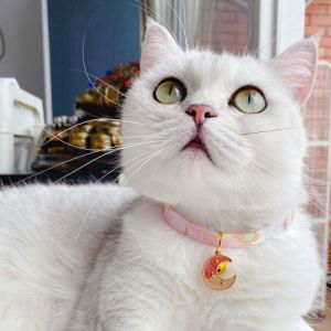 Cute Pet Cat Collar Double Layer Thickening Necklace With bell and Pendant Adjustable Kitten Puppy Pet Accessories