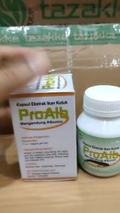 Pro Alb Kapsul Ekstrak Ikan Gabus Original Obat Pengering Luka Jahitan Pasca Operasi Cesar isi 30