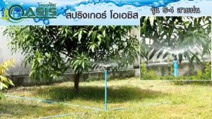 สปริงเกอร์โครงกลม ใบพัด ทูเวย์ สายฝน เกลี่ยวใน ใส่ได้ทั้ง 1/2"และ3/4" แพ็ค 30 ชิ้น ร้านพรเกษตร