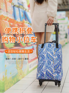 Foldable Shopping Cart with Handle Wheel Bag Portable Vegetable Buying Small Pulling Car Home Storage Utility Vehicle