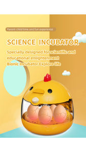 3Q Baby Khoa học giáo dục Vườn ươm chim nhỏ thông minh đồ chơi mới lạ quà tặng