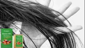 hoegoa | Organic Batana Oil Shampoo with Rosemary Extract Soothing Repair Nourishing Scalp Keep Hair Healthy Luster for All Hair Types