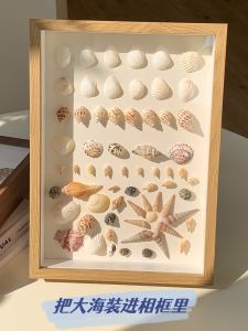 Modern Minimalist Square Shell Seashell DIY Sample Box Handmade Memorial Photo Frame Home Decorations Artificial Board