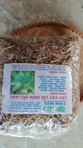 1kg cây mía dò cát lồi sấy khô