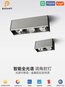 Prothi Square LED Spotlight Metal Brushed Living Room Ceiling Light Absorption Lighting Flat Mounted Home Decor Lighting