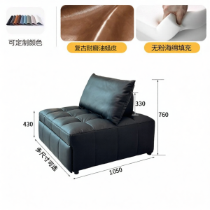 Convertible Cat Scratch Resistant Sofa Bed