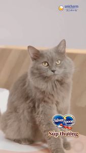 Súp Thưởng Cho Mèo Silver Spoon (Túi 8 tuýp*6g)