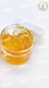 SEMPATI Gemuk Sangkar Burung Anti Semut Grace grease 10 Gr Gemuk Stempet Pelumas Gantungan Kandang Burung Oli Kental Bering Komstir Sepeda Motor Mesin Mobil Engsel Bearing Klahar Roda Gerobak