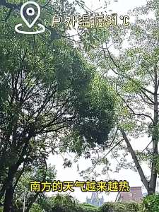 Vòng Làm Mát Cổ Mùa Hè 2026 Vòng Cổ Làm Mát Bằng Đá Thiết Kế Nhẹ Di Động Làm Mát Bằng Hơi Nước Dành Cho Thời Tiết Nóng Mang Lại Sự Thoải Mái