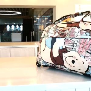 【COD】 Trolley Bag Commercial Travel Fashion Luggage Bags 22inch Rolling Duffle Bags Waterproof Shopping Travel Suitcases for Girls Women Hand Luggage Thick Style Boarding Trolley