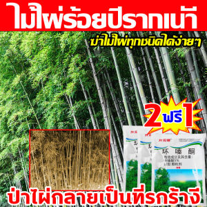 ไม้ไผ่ร้อยปีรากเน่า ยาฆ่าไม้ไผ่ สารกำจัดกอไผ่ ผงกำจัดกอไผ่ เฮกซาซิโนน 5% 500g ไม่ทำร้ายดิน เม็ดกำจัดต้นไม้ ผงกำจัดต้นไผ่ ยาฆ่าไผ่ ยากำจัดกอไผ่ กำจัดกอไผ่ ปูกำจัดกอไผ่ กำจัดต้นไม้ สารกำจัดต้นไผ่ ผงฆ่ากอไผ่ สารกำจัดก