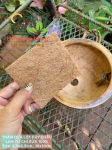 10 Miếng chỉ dừa lót đáy chậu bằng chỉ xơ dừa 100% - xem trong mô tả