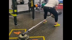 360° Swivel T-Bar Row Plate Post Insert Landmine for 25mm and 50mm Barbell Bar