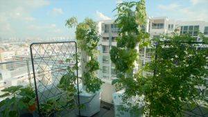 Aerospring Vertical Hydroponic System - Aerospring Pro 36 plants 10m pump cord length