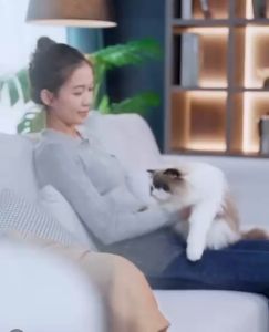 🐱🐶【READY-STOCK】ORIG Nourse Dog Cat Supplement Freeze-Dried Fresh Breath Granules with Nutrients and Vitamins 卫仕仙气魔方 宠物口臭