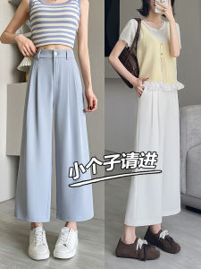 Ice Silk Wide Leg Pants Womens Summer New Style Slim Straight Cut Casual Quick Dry Cool down Pants High Waist Zipper Fly