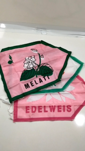 Atribut Pramuka Bendera Regu Pramuka Putri Bendera Regu