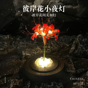 Creative Birthday Gift DIY Ghost Flower Night Light Material Kit for Boyfriend Girlfriend Friend Country Style Korean Design