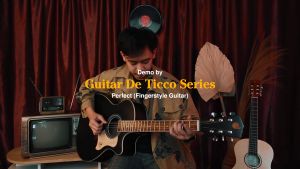 GITAR AKUSTIK MANDALIKA DE TICCO SERIES DTS-01TY-BK-KP INCLUDE SOFTCASE DAN SENAR GITAR CADANGAN