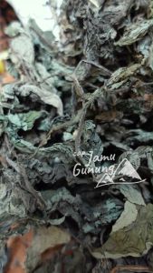 Daun Insulin atau Yakon Kering 1kg - Asli Hutan