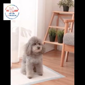 100 cái Tã lót chuồng cho chó mèo giấy lót chuồng cho chó mèo siêu thấm hút nước