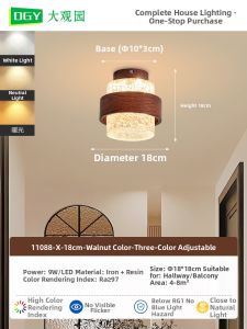 DGY | Luxury Retro Overhead Light