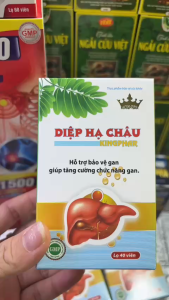 🌿 DIỆP HẠ CHÂU PLUS KINGPHAR – CHỦ ĐỘNG XÂY DỰNG THÓI QUEN CHĂM SÓC CƠ THỂ MỖI NGÀY