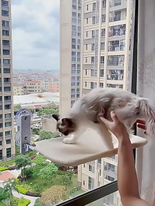 Cat Hanging Bed Adjustable Cat Hammock Suction Cup Foldable Window Sill Nest Mesh Surface Breathable Pet Kucing 猫吊床