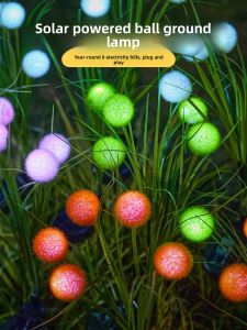 BEAUTY IN THE LIGHT | Solar Waterproof Outdoor Landscape Lighting