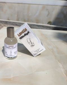 LAMOZA EDT PARFUME 35 ML SPRAY TERMURAH DAN BERKUALITAS