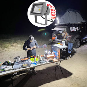 Angelila DC12V-24V Led Camping Lights 10W 20W 30W 50W 100W Portable Night Fishing Lights Low Voltage Outdoor Light Waterproof IP65 Led Work Light Camp Light 12V 24V Camp Barbecue Lamp