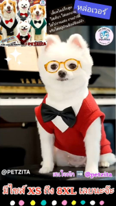 🇹🇭พร้อมส่ง🇹🇭💥มีไซส์ XS-8XL💥 สูท คุณชายไฮโซสุดเท่ห์ ผ้านิ่ม ชุดงานแต่ง ออกงาน เสื้อหมา แมว หมาใหญ่ เสื้อผ้าสัตว์เลี้ยง