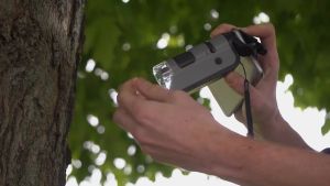 Kính hiển vi bỏ túi cao cấp Carson MicroFlip MP-250 (Phóng đại 100x -250x) có đèn tia cực tím UV kiểm tra tiền - Hãng Carson Mỹ