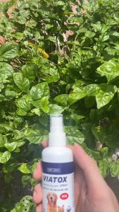 Chai Xịt Ve Rận Chó Mèo VIATOX SPRAY 100ml Chính Hãng - Lọ Xịt Loại Bỏ Bọ Chét Trứng Ấu Trùng An Toàn Hiệu Quả