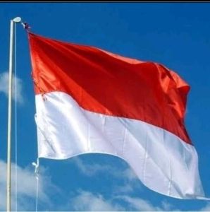 Bendera Merah Putih Kantor Sekolah Ukuran Kecil 60x90 Besar 80x120 Jumbo 120x180 Kain Satin Murah