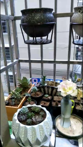 SG Supermarket European Style Balcony Iron Flower Stand Outdoor Hanging Potted Plant Flower Pot Rack Window Hanging Suspension Rack Basket 3356652737